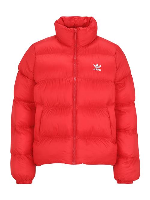 ADIDAS ORIGINALS Vinterjakke 'Adicolor'  rød / hvid