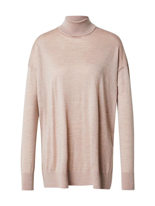 AllSaints Pullover 'GALA'  pudder