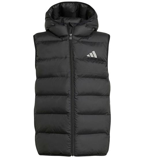 adidas Performance Dynevest - Sort
