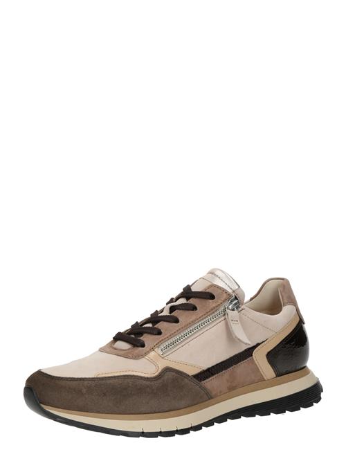 Se GABOR Sneaker low  lysebeige / brun / lysebrun / guld ved About You