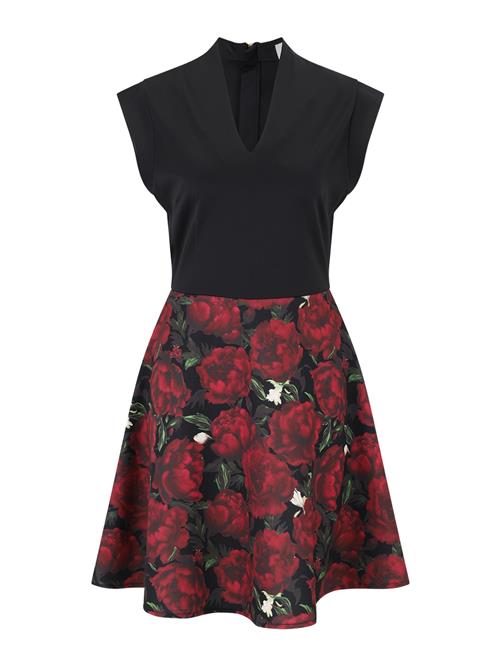 Guido Maria Kretschmer Women Kjole 'Paulina'  grøn / oliven / magenta / sort