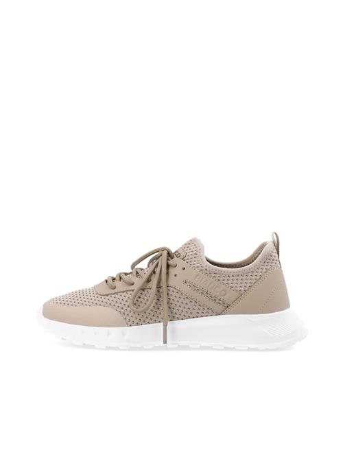 Bianco Sneaker low 'LAUREN'  beige / hvid