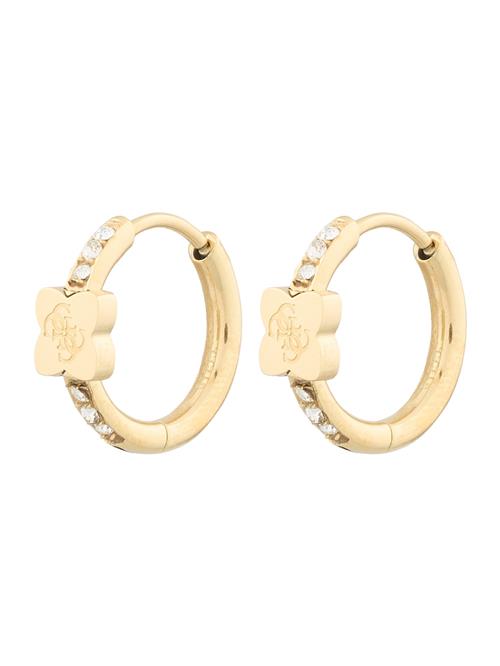 GUESS Øreringe  guld / transparent