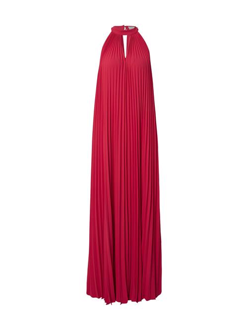 Ted Baker Kjole  fuchsia