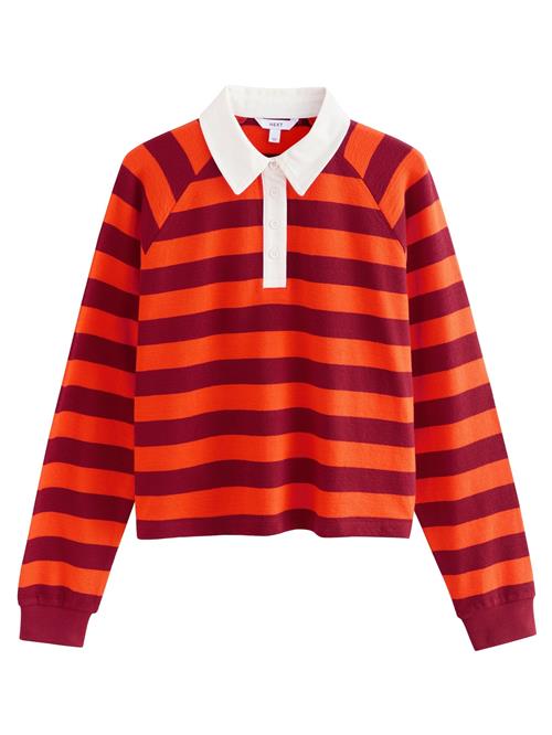 Next Pullover  orange / mørkerød / hvid
