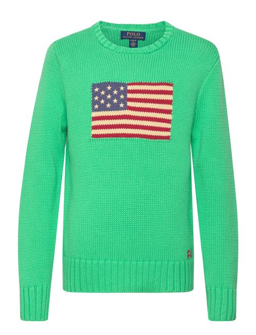The Iconic Flag Sweater Ralph Lauren Kids Green