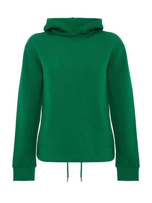 Jacey Quinn Sweatshirt  grøn / sort / hvid