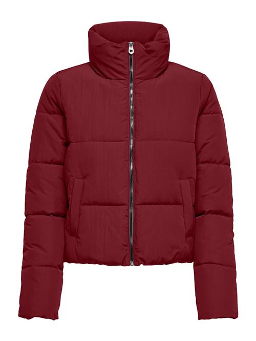 ONLY Vinterjakke 'ONLDolly'  bordeaux