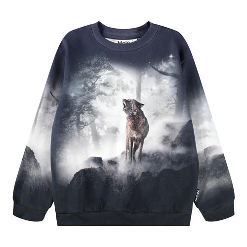 Molo Miksi Sweatshirt Moonlit Wolves  Moonlit Wolves 122 cm  Blå  122 cm  mand