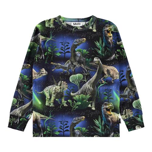 Molo Rill T-shirt Med Lange Ærmer Dinorama  Dinorama 116 cm  Blå  116 cm  mand