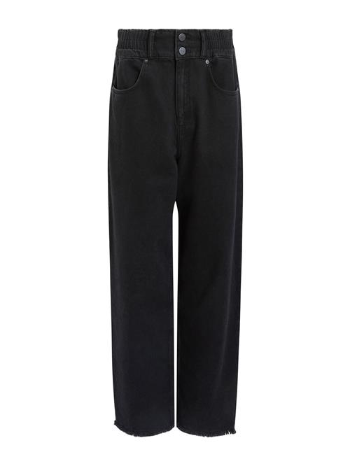 AllSaints Jeans 'HAILEY'  black denim