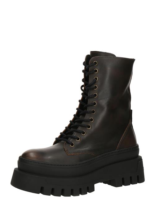 STEVE MADDEN Snørestøvletter 'COAST'  mørkebrun