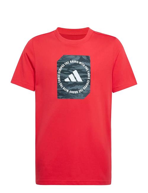 B Camo Box Adidas Sportswear Red