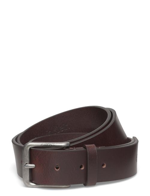 Casual Pin Buckle 35Mm Fixed Calvin Klein Brown
