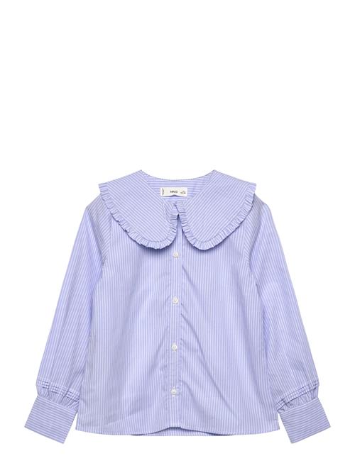 Double Baby-Collar Shirt Mango Blue