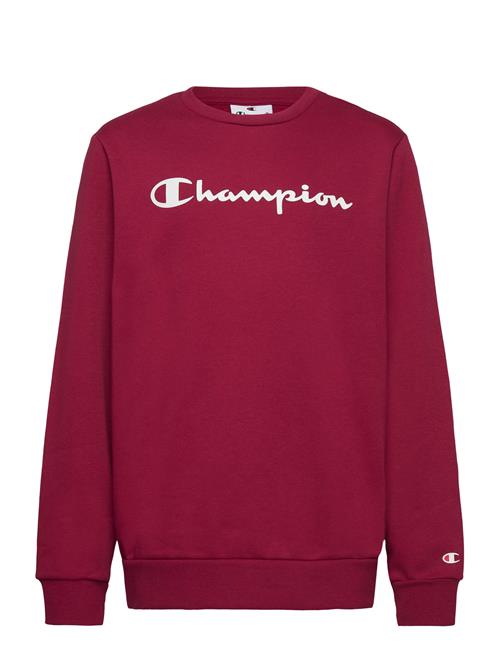 Crewneck Sweatshirt Champion Red