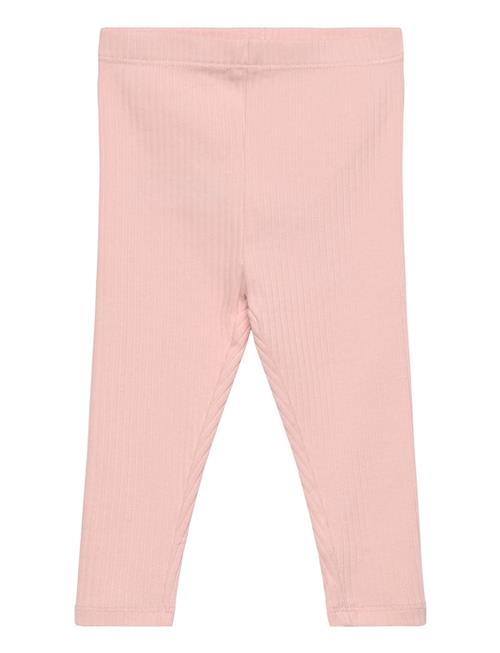 Cotton Ribbed Leggings Mango Pink