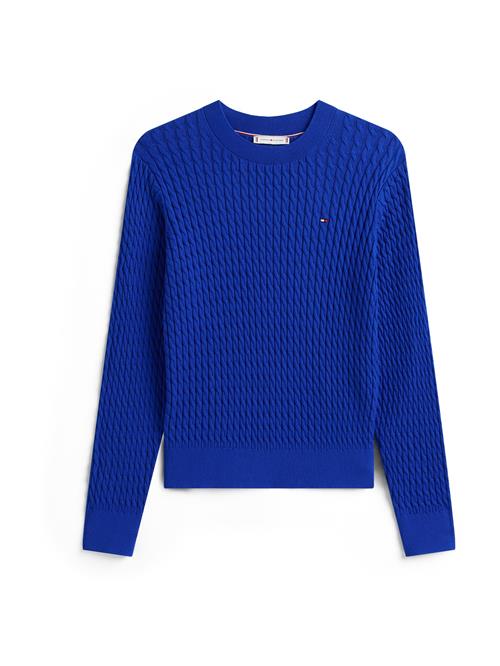 TOMMY HILFIGER Pullover  royalblå