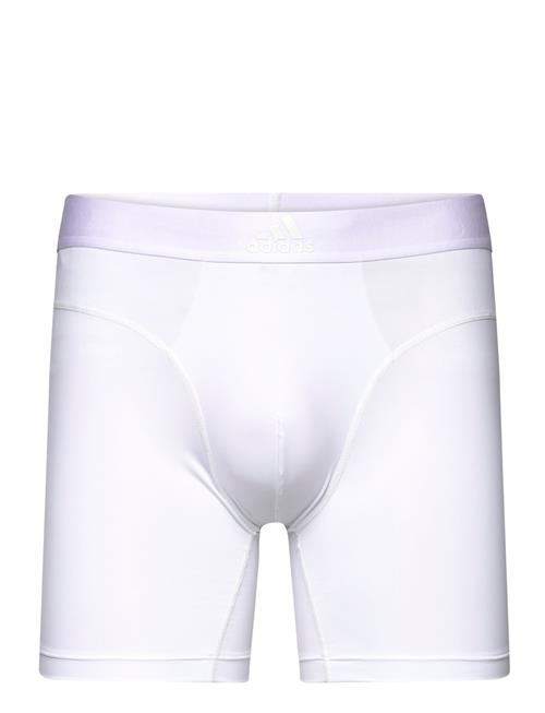 Shorts Adidas Underwear White