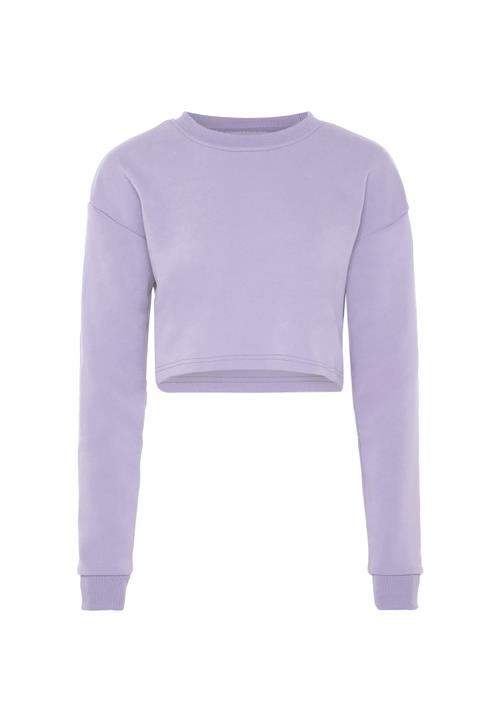 myMo ATHLSR Sweatshirt  lavendel