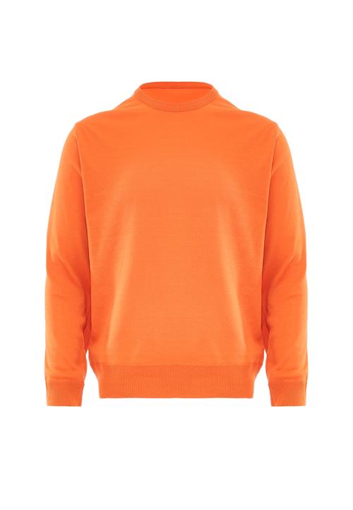 BLONDA Pullover  orange