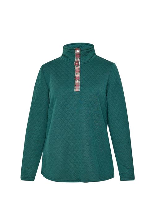 FELIPA Sweatshirt 'Fashion Look'  mørkegrøn / blandingsfarvet
