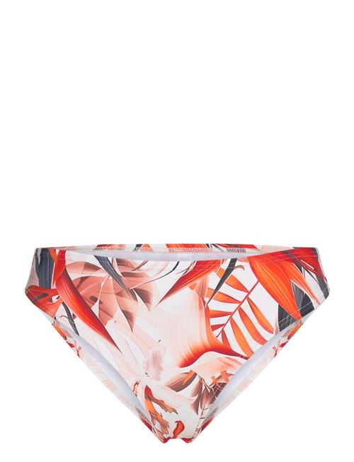 Lilly Tai Missya Orange