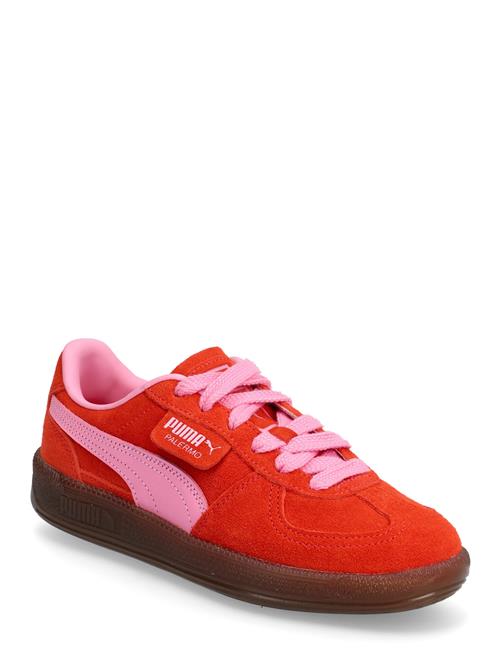 Palermo PUMA Red