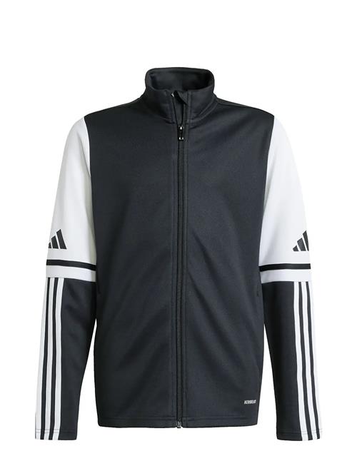 Sq25 Tr Jkt Y Adidas Performance Black