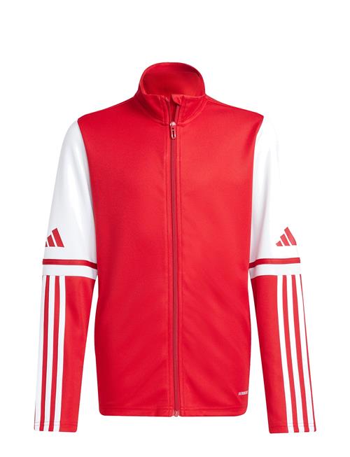 Sq25 Tr Jkt Y Adidas Performance Red