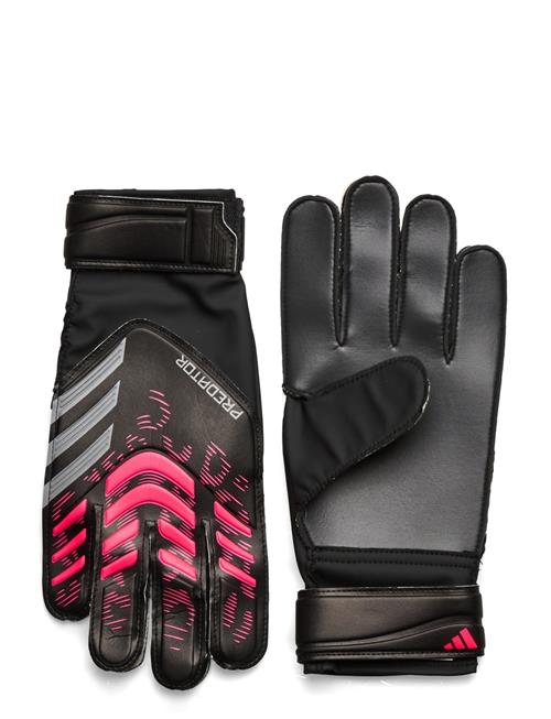 Se Pred Gl Trn Adidas Performance Black ved Booztlet