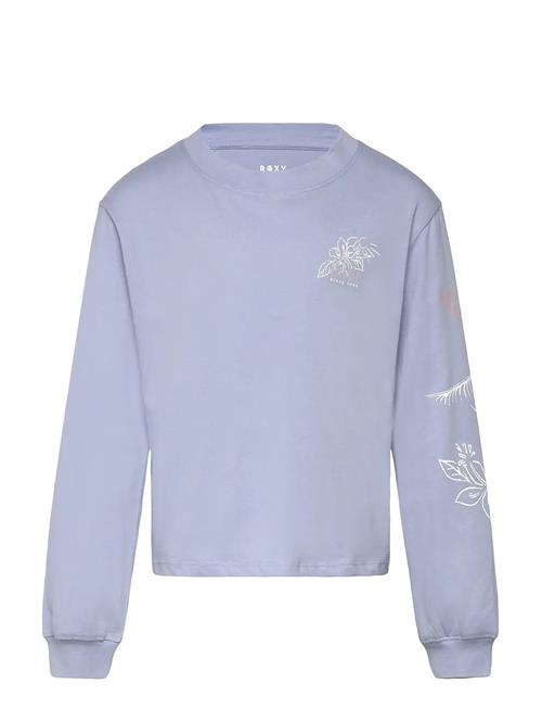 Orchidregular Go Ls Roxy Blue