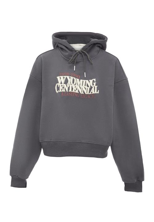 HOMEBASE Sweatshirt  mørkegrå / rød / hvid