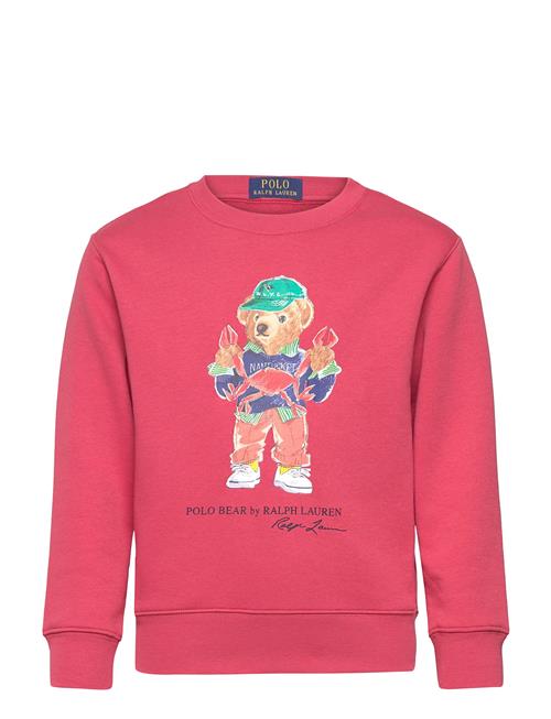 Polo Bear Fleece Sweatshirt Ralph Lauren Kids Red