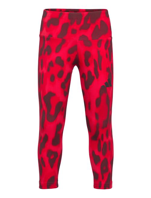 Jg Fi Aop 7/8Le Adidas Sportswear Red
