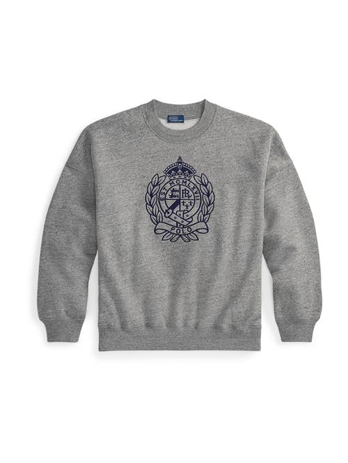 Polo Ralph Lauren Sweatshirt  marin / mørkegrå