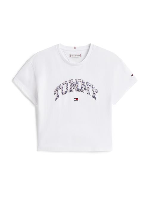 TOMMY HILFIGER Bluser & t-shirts 'VARSITY'  taupe / rød / sort / hvid