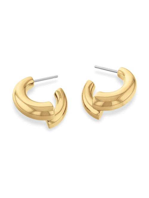 Calvin Klein Øreringe  guld
