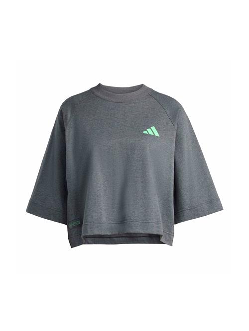 ADIDAS PERFORMANCE Funktionsbluse 'Mercedes - AMG Petronas Formula One Team'  grå / neongrøn