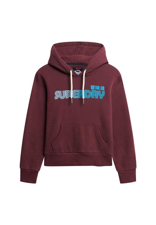 Superdry Sweatshirt  lyseblå / burgunder