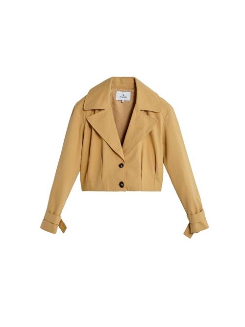 Scalpers Cardigans ' '  sennep