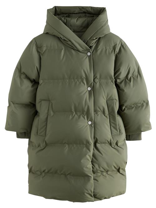 Next Frakke  khaki