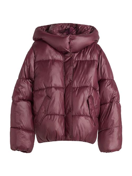 Bershka Vinterjakke  vinrød