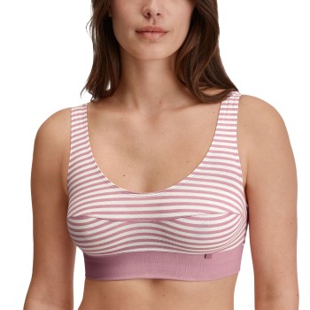 Calida BH Elastic Top Rosa stribet bomuld X-Small Dame