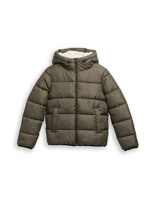 TOM TAILOR DENIM Vinterjakke  oliven