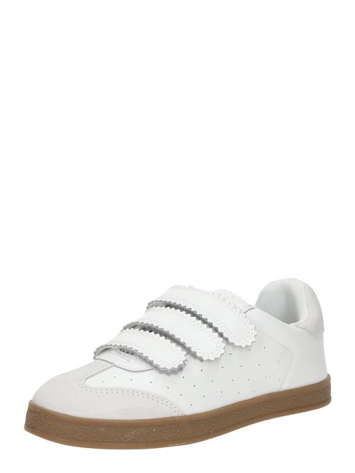STEVE MADDEN Sneaker low 'Daybreak'  hvid