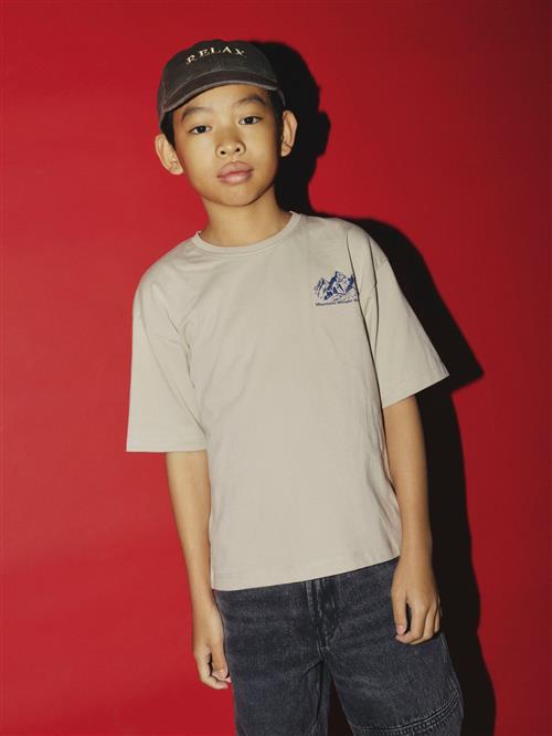 Se NAME IT T-shirt Ollie Box Island Fossil hos SmartKidz