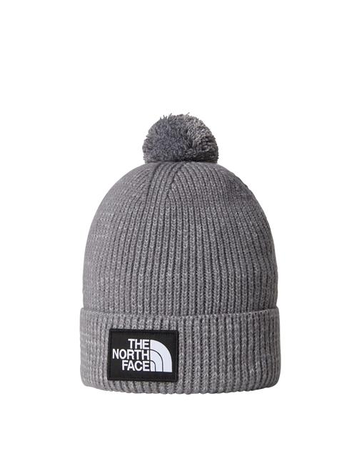 THE NORTH FACE Hue  grå / sort / hvid