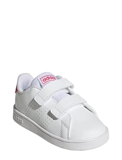 Advantage Cf I Adidas Sportswear White