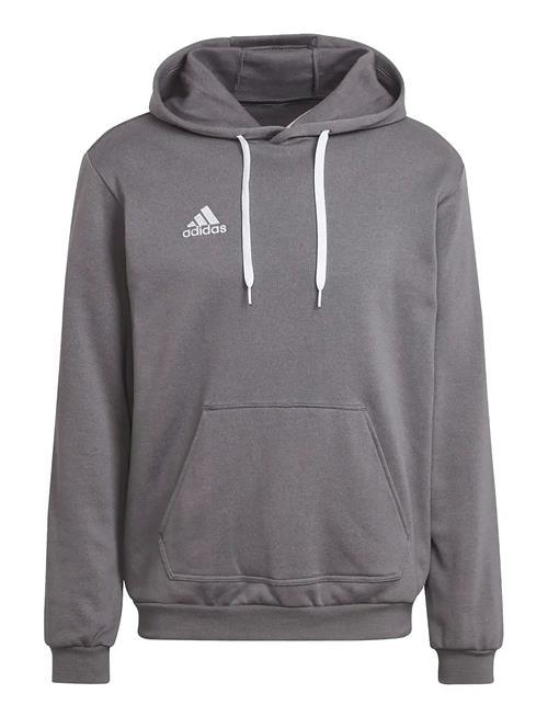 Ent22 Hoody Adidas Performance Grey